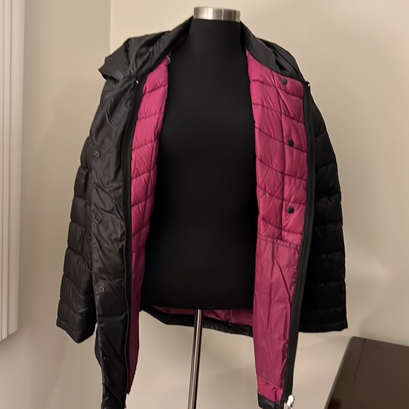 Calvin Klein - Picture 11 of 12